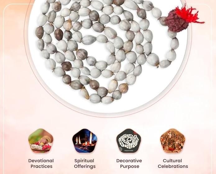 Original Vaijayanti Mala with Rudraksha & Moira Stone for Spiritual Protection & Positivity | NISHU Superstores