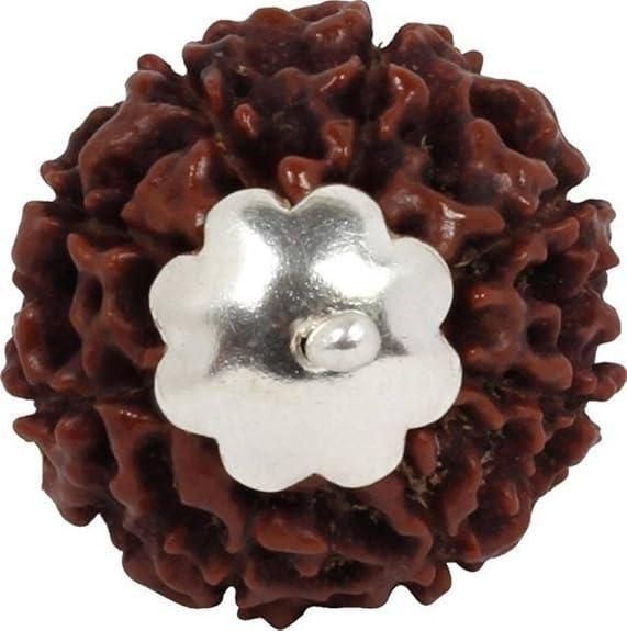 7 Mukhi Rudraksha Silver Capped Pendant – Spiritual Energy & Positive Vibes | NISHU Superstores
