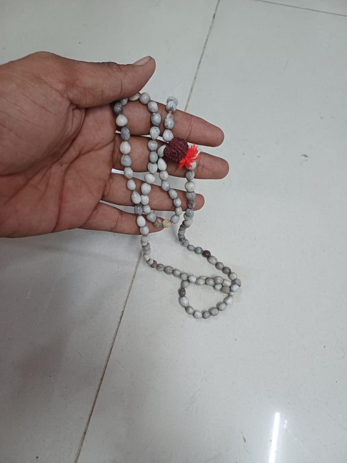 Original Vaijayanti Mala with Rudraksha & Moira Stone for Spiritual Protection & Positivity | NISHU Superstores