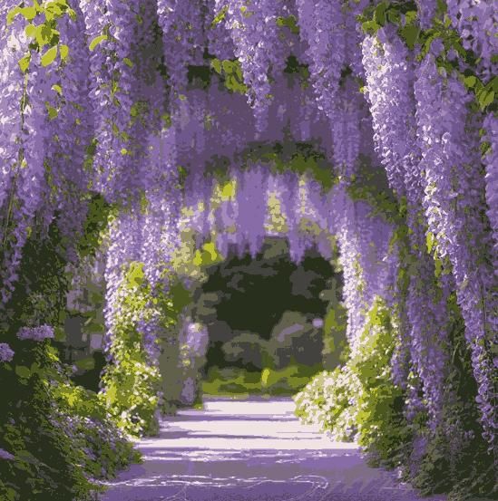 The Garden’s Cascading Beauty All Year Round – Flower Seeds & Plants for Every Season | NISHU Superstores