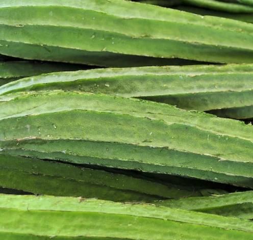 Luffa Ridge Gourd Heirloom Seeds – Natural & Non-GMO | NISHU Superstores