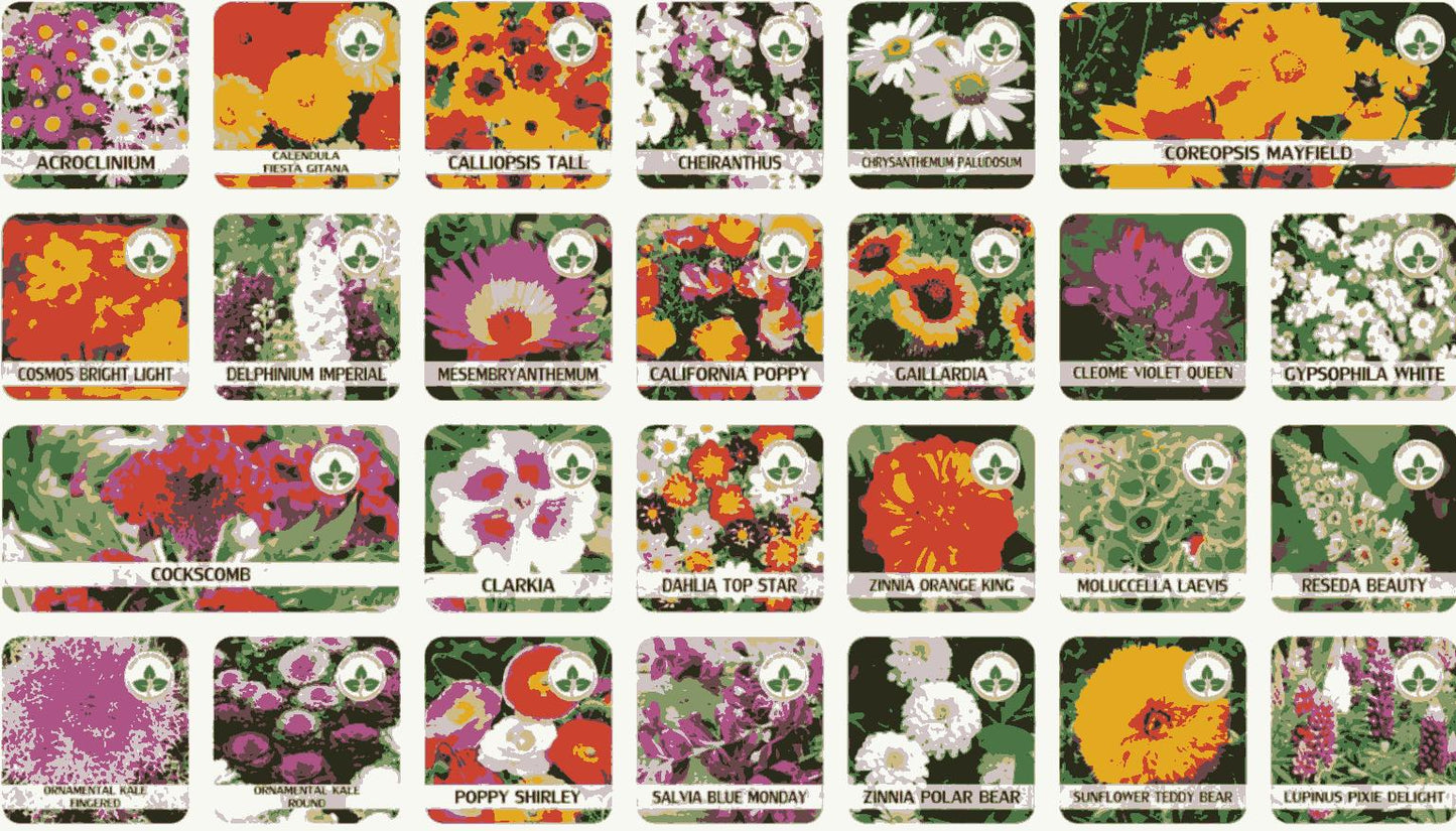 Varieties of Flower Seeds Pack (100 Seeds) + Free Plant Growth Supplement | NISHU Superstores