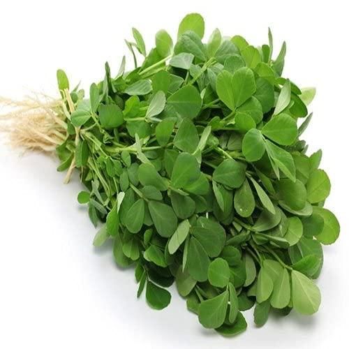 Fenugreek (Methi) Vegetable Seeds – Pack of 20 for Home Gardening | NISHU Superstores