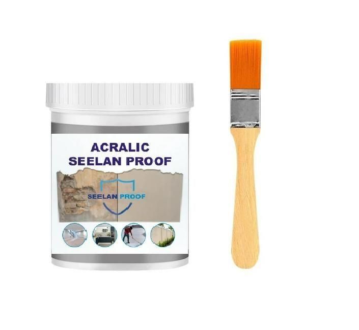 Acrylic Seelan Proof (Pack of 1) – Wall Dampness & Seepage Solution | NISHU Superstores