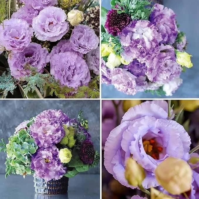 Lisianthus Flower Seeds – Elegant Blooms for Home & Garden | NISHU Superstores