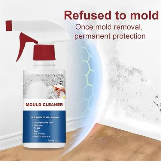 Deodorizing & Purifying Household Cleaning Foam Spray – 60ml Fresh & Clean | NISHU Superstores