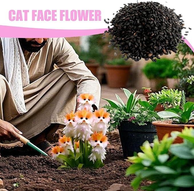 Cat Eye Dazzle Seeds with Free Organic Pot Mix – 100g Pack for Home & Balcony Gardening | NISHU Superstores