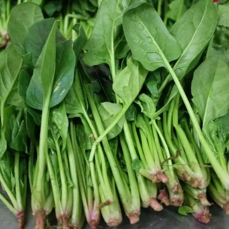 Spinach Vegetable Seeds (Pack of 20) – High Yield, Fast Growing | NISHU Superstores