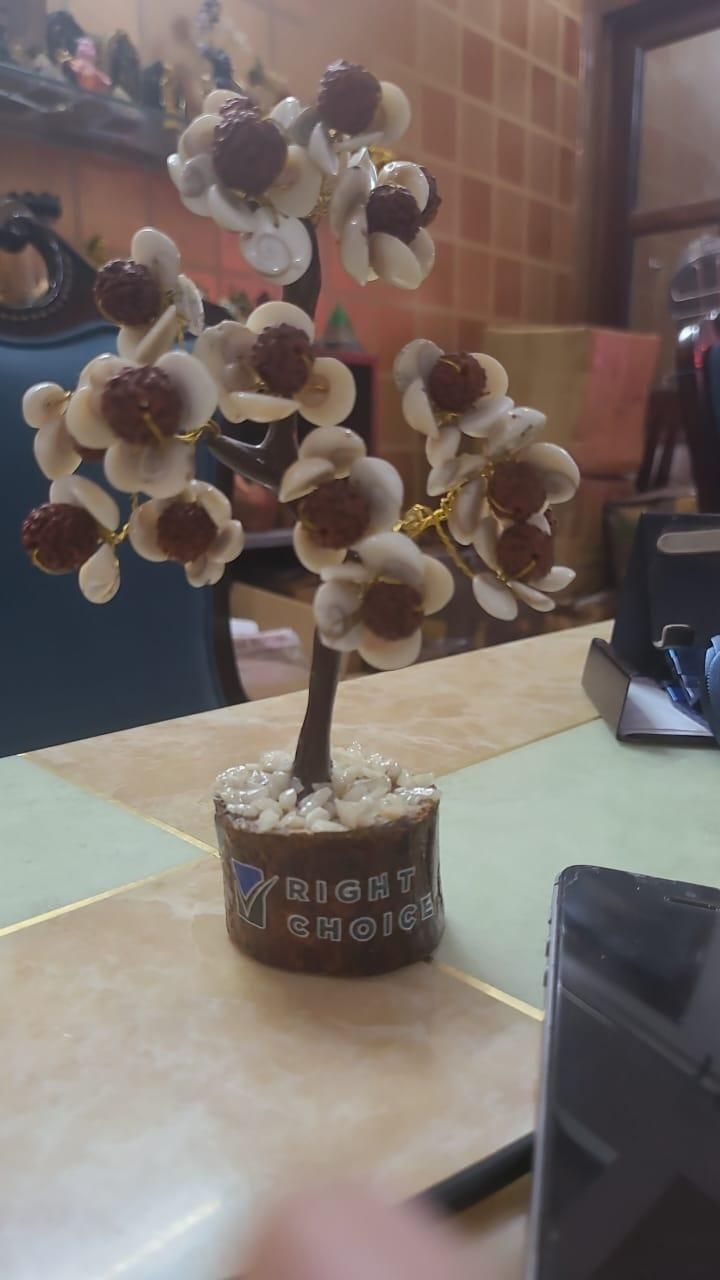 Gomti Chakra & Rudraksha Stone Tree – Floral Design for Positivity & Wealth | NISHU Superstores