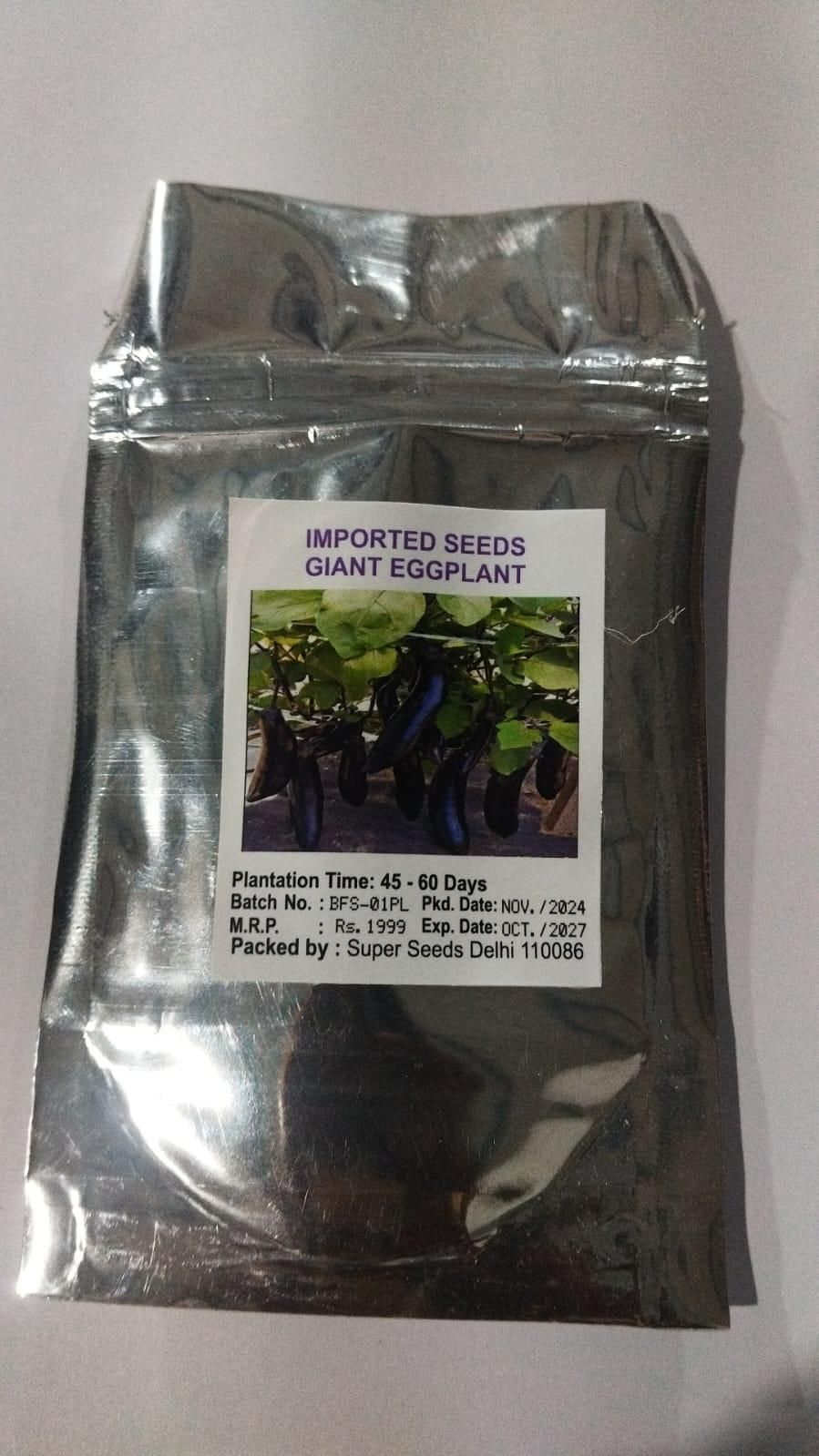 Giant Eggplant Seeds – High Yield Brinjal for Home Gardening | NISHU Superstores