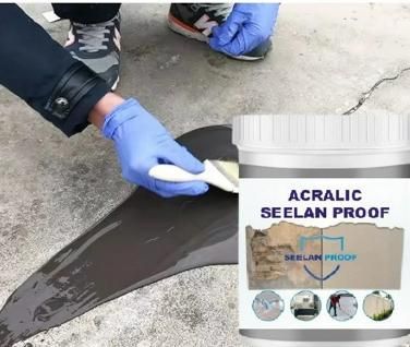 Acrylic Sealan Proof (Pack of 2) – Durable Waterproof Sealant | NISHU Superstores