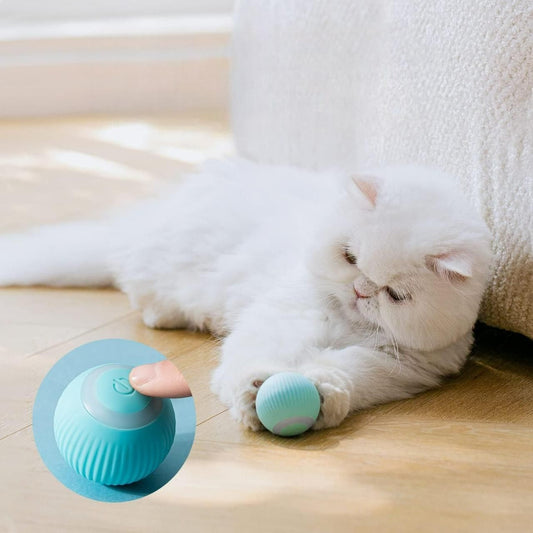 Interactive Rotating Cat Toy Ball with LED Light – USB Rechargeable | NISHU Superstores