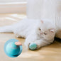 Interactive Rotating Cat Toy Ball with LED Light – USB Rechargeable | NISHU Superstores