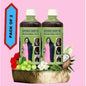 Adivasi Herbal Hair Oil – 125ML Pack of 2 for Healthy Hair Care | NISHU Superstores
