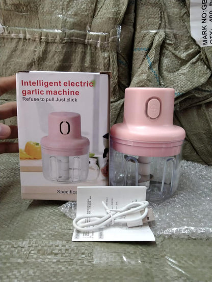 KolorFish Electric Mini Garlic Chopper 250ml – Portable Electric Vegetable Chopper | NISHU Superstores