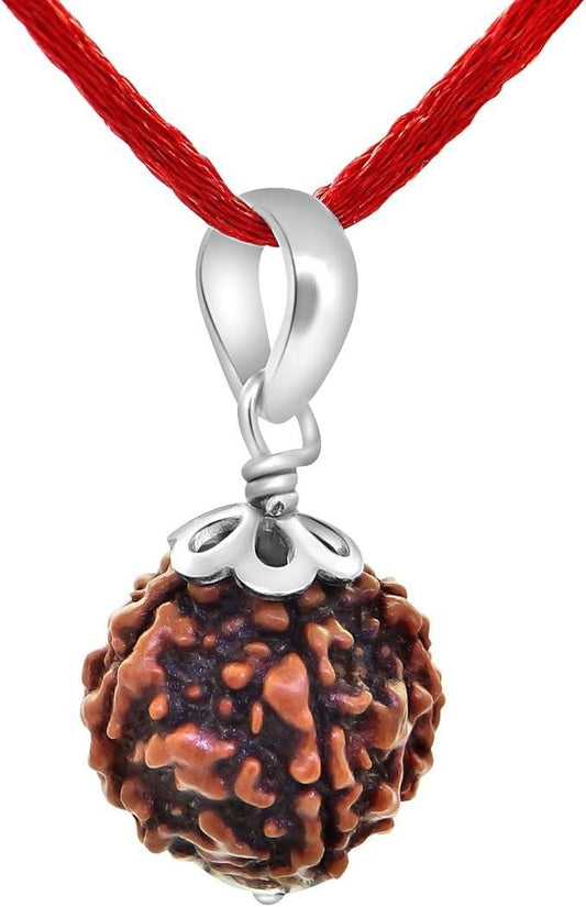 Original 5 Mukhi Rudraksha Bead – Authentic Spiritual Energy | NISHU Superstores