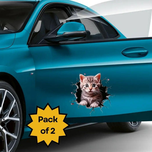 Durable Cat Pattern Car Sticker (Pack of 2) – Stylish & Weatherproof | NISHU Superstores