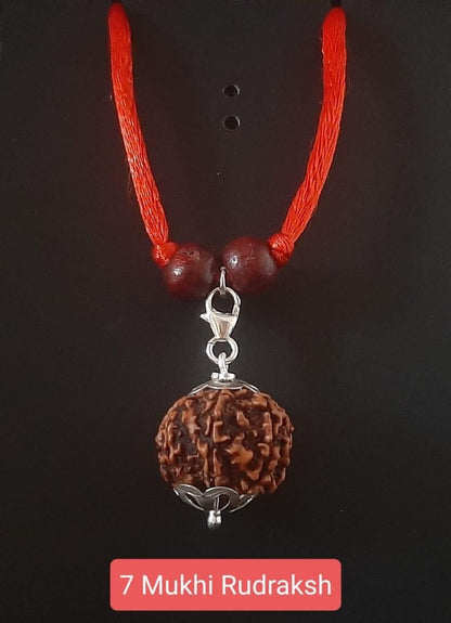 7 Mukhi Rudraksha Silver Capped Pendant – Spiritual Energy & Positive Vibes | NISHU Superstores