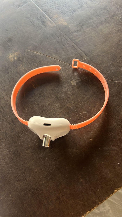Pet Laser Collar Toy – Automatic Self-Teasing Laser Chase for Cats & Dogs | NISHU Superstores