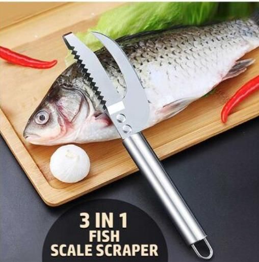 3-in-1 Fish Scaler Scraper – Kitchen Tool with Scale Remover, Cutter & Storage Box | NISHU Superstores