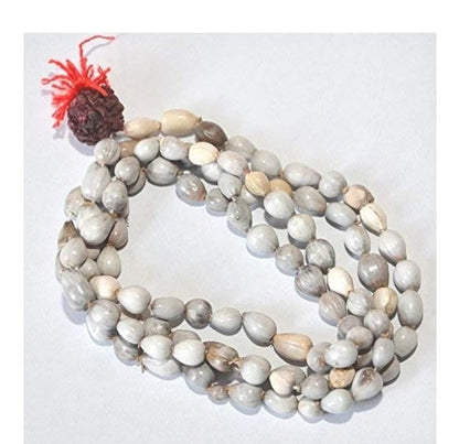 Original Vaijayanti Mala with Rudraksha & Moira Stone for Spiritual Protection & Positivity | NISHU Superstores