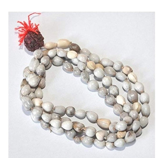 Original Vaijayanti Mala with Rudraksha & Moira Stone for Spiritual Protection & Positivity | NISHU Superstores
