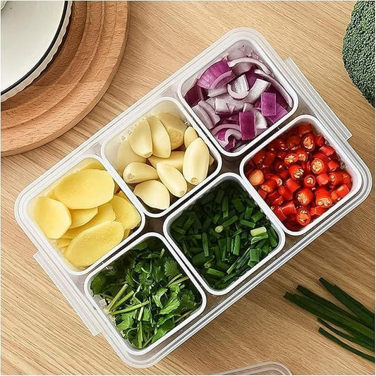 Food Storage Box with Lid & 6 Compartments – Meal Prep & Kitchen Organizer | NISHU Superstores