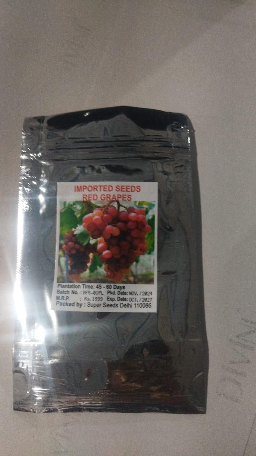 Buddha Lantern Fruit Seeds – Unique Decorative & Edible Fruit Plant | NISHU Superstores