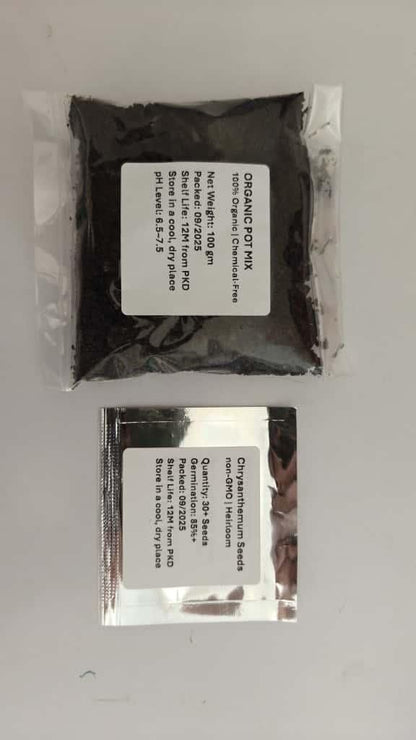 Double-Petal Chrysanthemums Seeds + 100g Organic Pot Mix Free – Gardening Kit | NISHU Superstores
