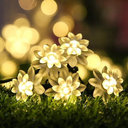 16 LED Lotus Flower Decoration Lights – 3 Meters Magical Ambiance | NISHU Superstores