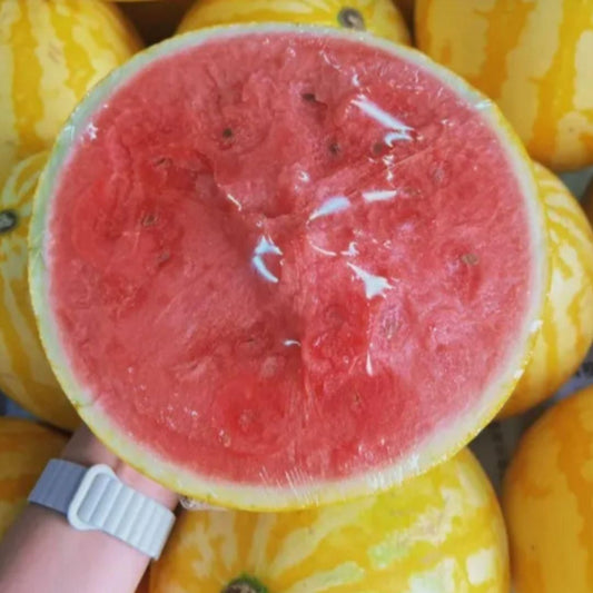 Golden Red Watermelon Seeds – Juicy, Sweet & High Yield | NISHU Superstores