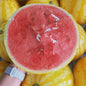 Golden Red Watermelon Seeds – Juicy, Sweet & High Yield | NISHU Superstores