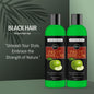 SISO Fruit Vinegar Shampoo 240ml (Pack of 2) – Gentle Cleansing & Hair Nourishment | NISHU Superstores