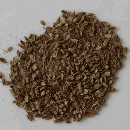 Carrot Vegetable Seeds – Pack of 20 for Healthy Home Gardening | NISHU Superstores
