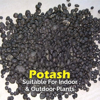 Organic Potash Fertilizer – 350gm | NISHU Superstores