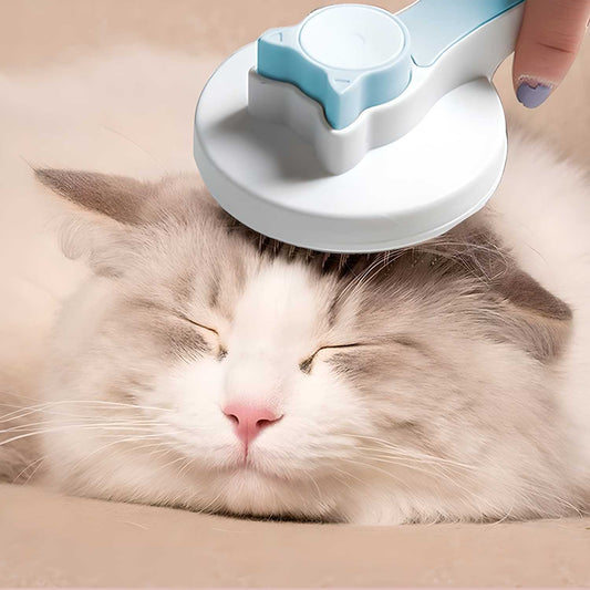Pet Hair Removal Brush for Dogs & Cats – Easy Grooming Tool | NISHU Superstores