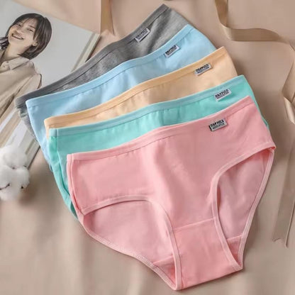 Women’s Cotton Comfortable Underwear – Soft & Breathable Panties (Pack of 4) | NISHU Superstores