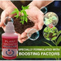 Plant Growth Enhancer Supplement – Boost Root & Leaf Growth | Pack of 1 | NISHU Superstores