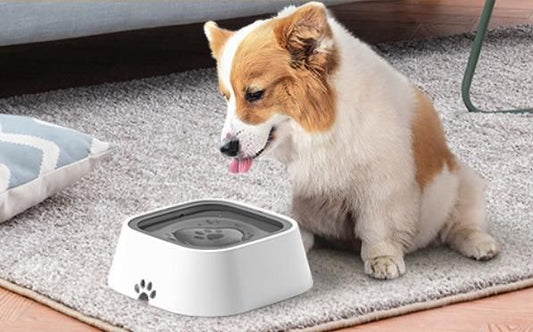 Floating Anti-Overflow Pet Water Bowl – Spill-Proof Design | NISHU Superstores