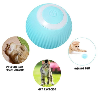 Interactive Rotating Cat Toy Ball with LED Light – USB Rechargeable | NISHU Superstores