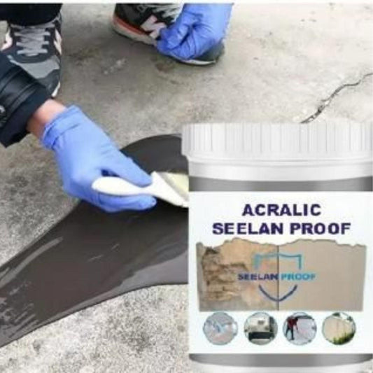 Acrylic Seelan Proof (Pack of 1) – Wall Dampness & Seepage Solution | NISHU Superstores