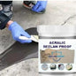 Acrylic Seelan Proof (Pack of 1) – Wall Dampness & Seepage Solution | NISHU Superstores