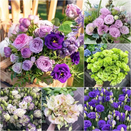 Lisianthus Flower Seeds – Elegant Blooms for Home & Garden | NISHU Superstores