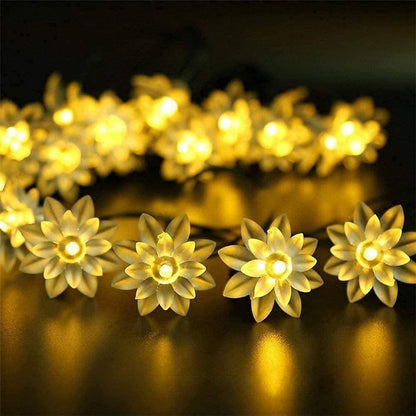 16 LED Lotus Flower Decoration Lights – 3 Meters Magical Ambiance | NISHU Superstores