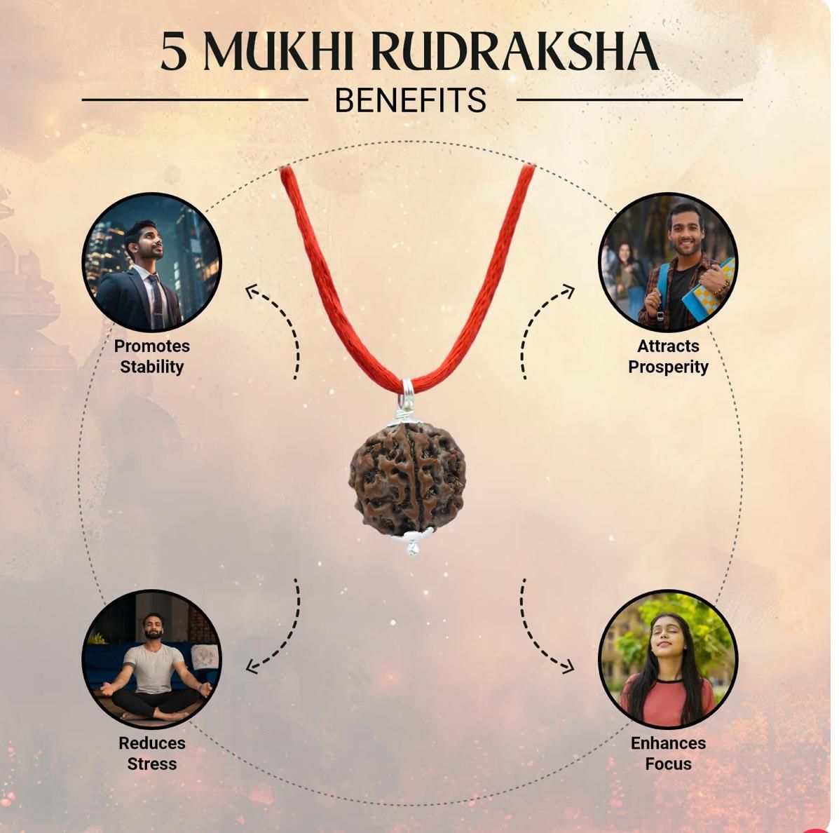 Maha Shivratri Combo: 5 Mukhi Rudraksha with Bracelet | NISHU Superstores