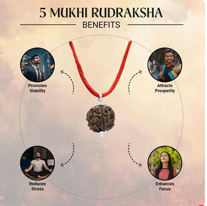 Maha Shivratri Combo: 5 Mukhi Rudraksha with Bracelet | NISHU Superstores