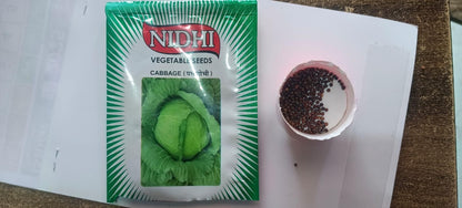Cauliflower Vegetable Seeds (Pack of 20) – High Yield, Easy to Grow | NISHU Superstores