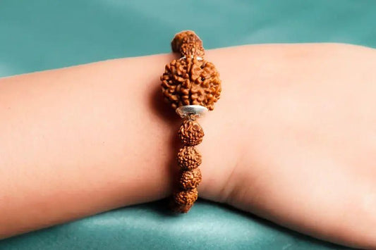 Authentic 7 Mukhi Rudraksha Bead Bracelet | Spiritual Healing Accessory – NISHU Superstores