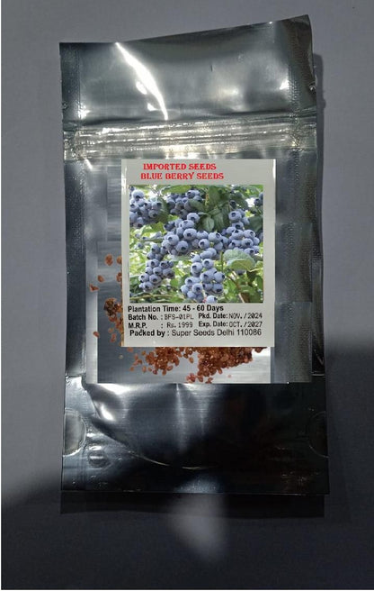 Giant Blueberry Fruit Seeds – Grow Juicy, Big Berries at Home | NISHU Superstores