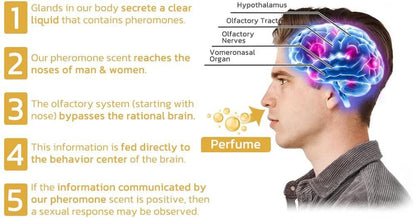Scientifically Verified Dopamine Ring – Proven Effective Mood Enhancer | NISHU Superstores